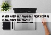 杨浦区块链开发公司有哪些公司[杨浦区块链开发公司有哪些公司名称]